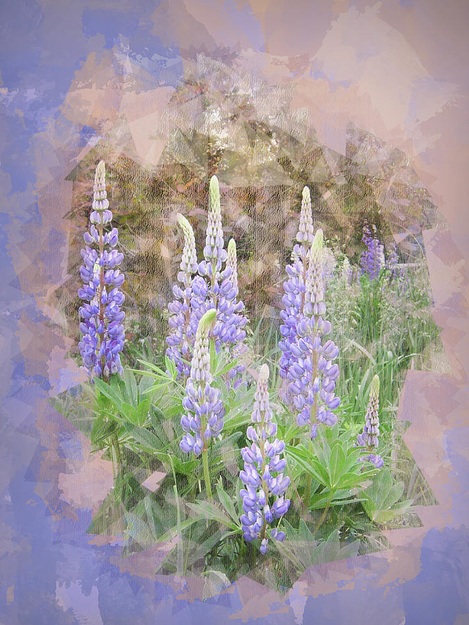 Lupine Cluster Texture Photograph by Patti Deters
