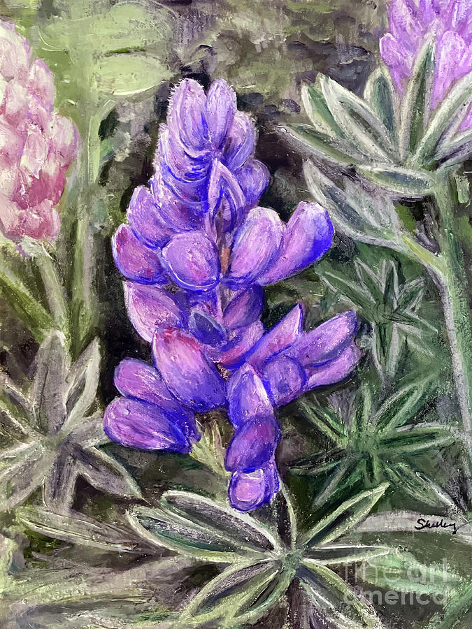 Lupine love Painting by Shelley Myers