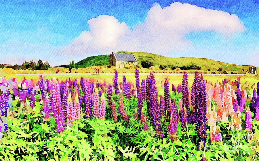 Lupins and Church of the Good Shepherd, Tekapo, New Zealand, Wat Photograph by Colin and Linda McKie