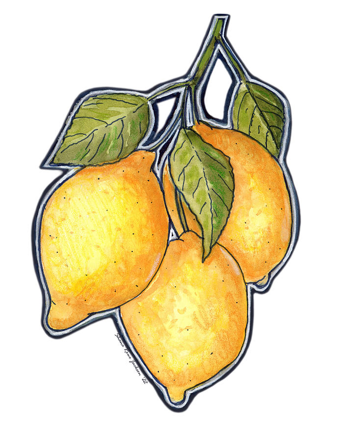 Luscious Lemons Sticker Painting by Shana Rowe Jackson
