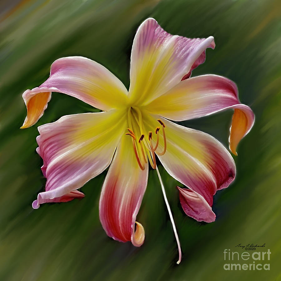 Luscious Lily  Digital Art by Gary F Richards