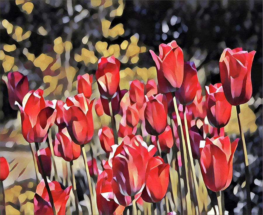 Luscious Red Tulips Digital Art by Mary Gaines