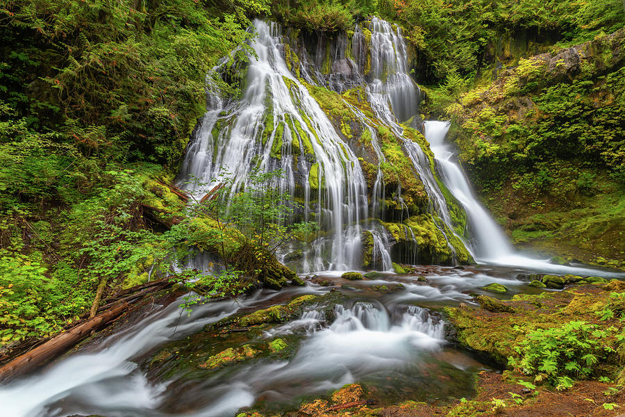 Panther Creek Falls in the Columbia River Gorge Oregon Photograph by ...