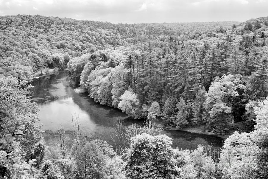 Lush Green Clarion River Overlook Black And White Photograph by Adam Jewell