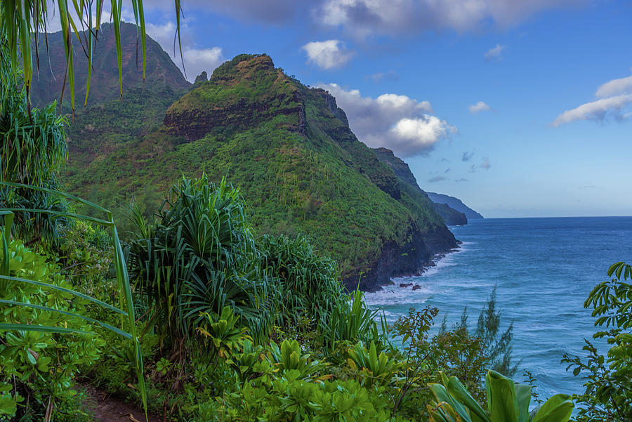 Lush Green Kalalua Trail Haena Kauai Hawaii Photograph by Scott McGuire