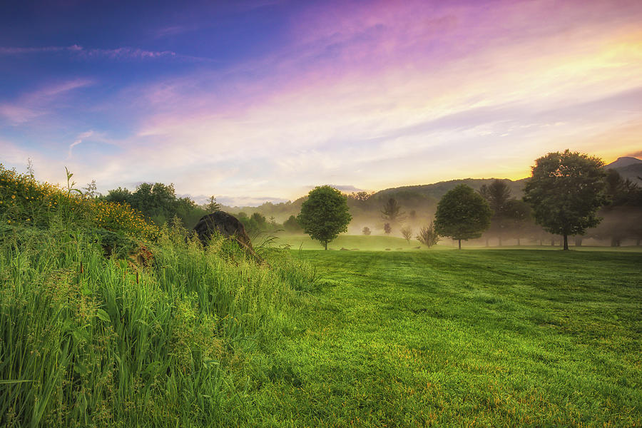 Lush Green Pastures Photograph by Jo Ann Tomaselli