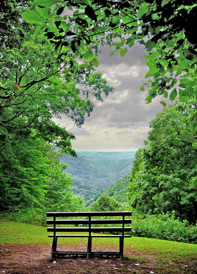 Lush Vista Bench Overlook Photograph by Lisa Lambert-Shank