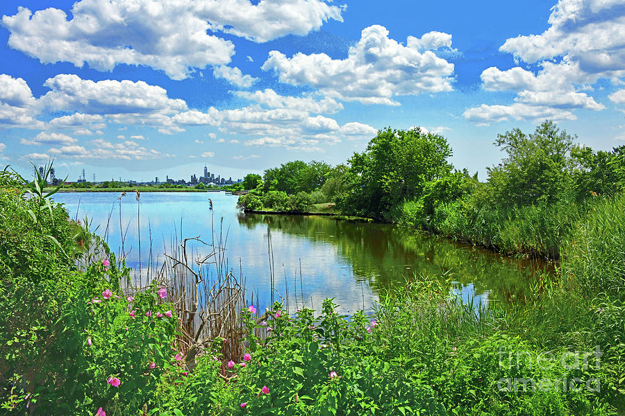 Lushly Summer - Nj Meadowlands Photograph