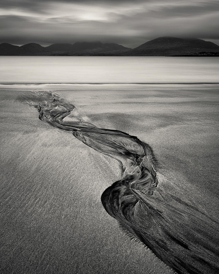 Nature Photograph - Luskentyre Sand Tracks by Dave Bowman