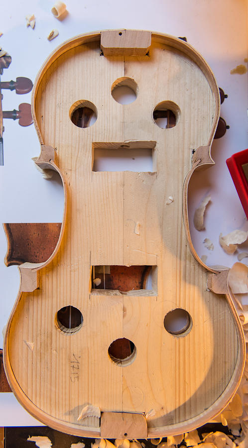 Lute maker building violin Photograph by Bluegrain