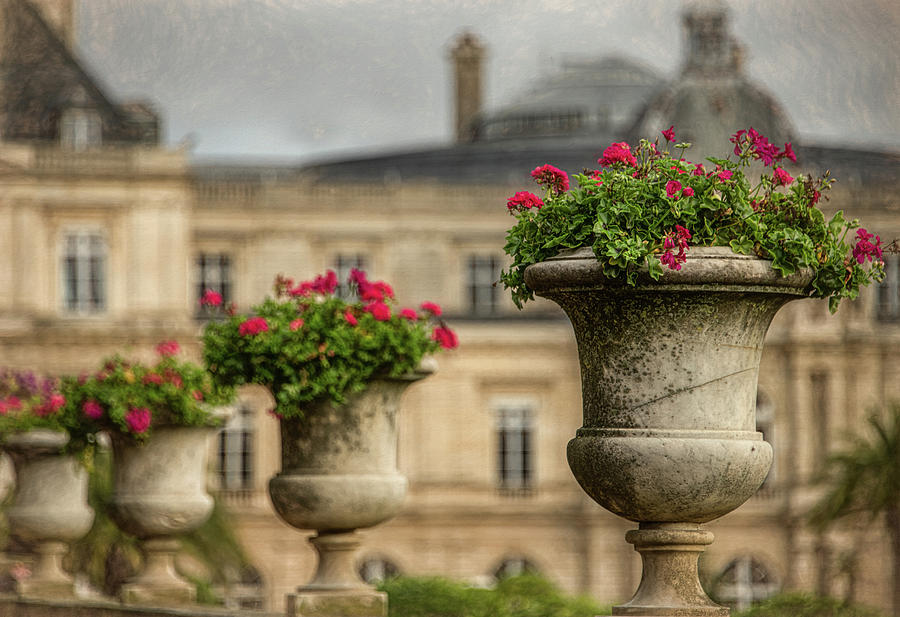 Luxembourg Gardens, Paris Photograph by Marcy Wielfaert
