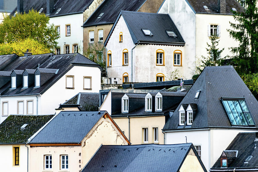 Luxembourg Roofs Photograph by Steven Richman