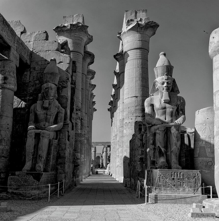 Luxor Temple Colonnade Photograph by Nigel Fletcher-Jones