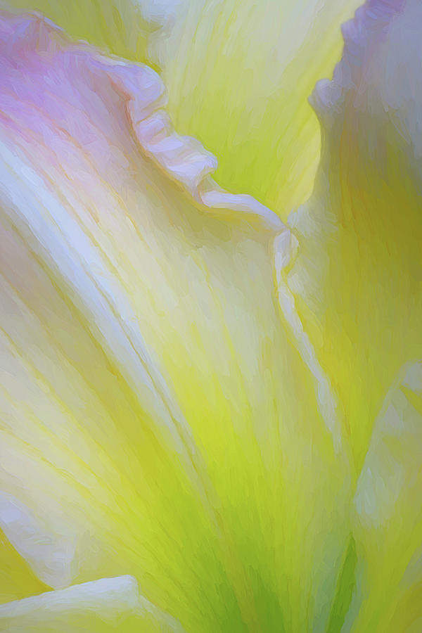 Whisper I Still Love You Painterly Photograph by Kathi Mirto Whisper I Still Love You Painterly Photograph by Kathi Mirto