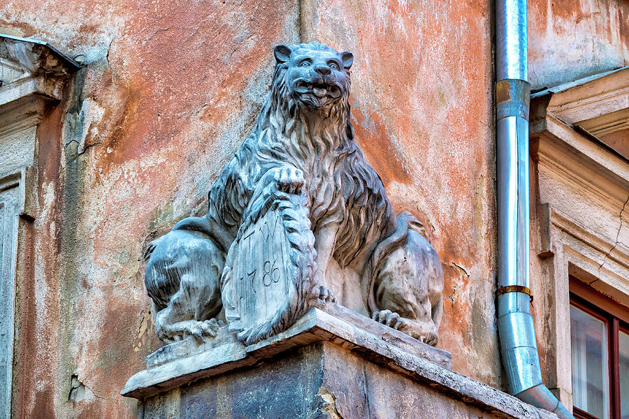 Lviv Lion Photograph by Fabrizio Troiani