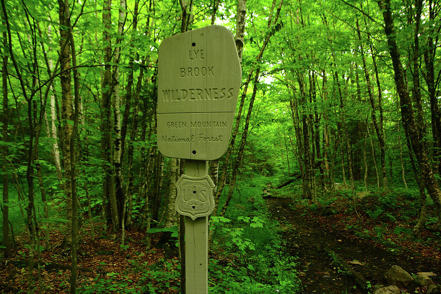 Lye Brook Wilderness Sign Photograph by Raymond Salani III