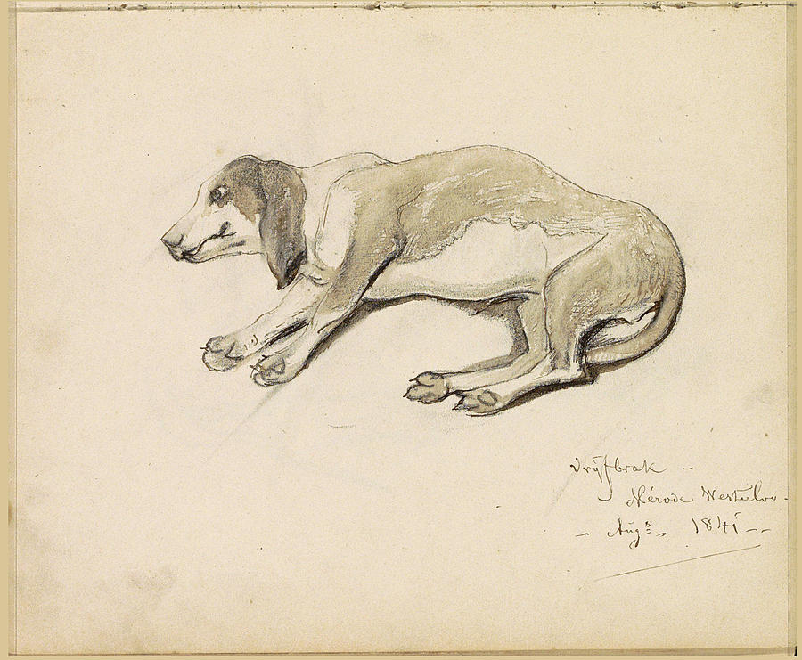 Lying dog Drawing by Johannes Tavenraat