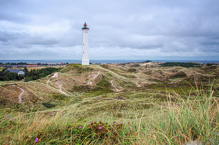 Lyngvig Lighthouse Photograph by Steven Nelson