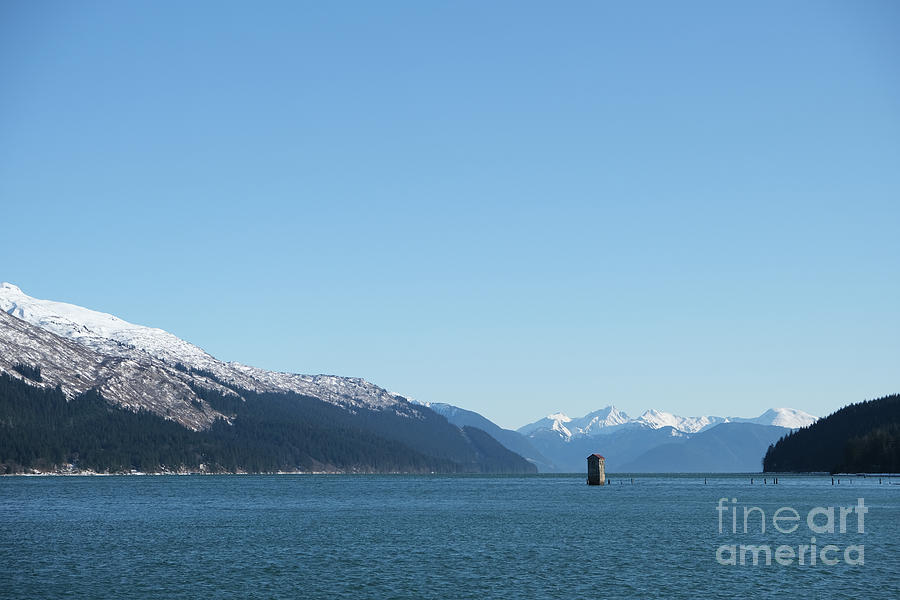 Lynn Canal Sentinel Photograph by Charles Vice