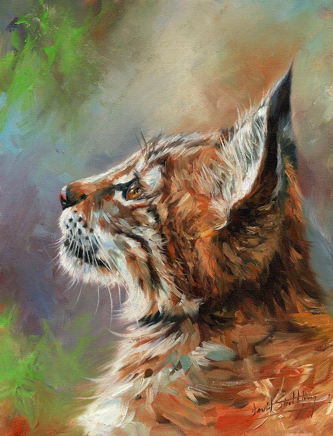 Lynx Painting by David Stribbling