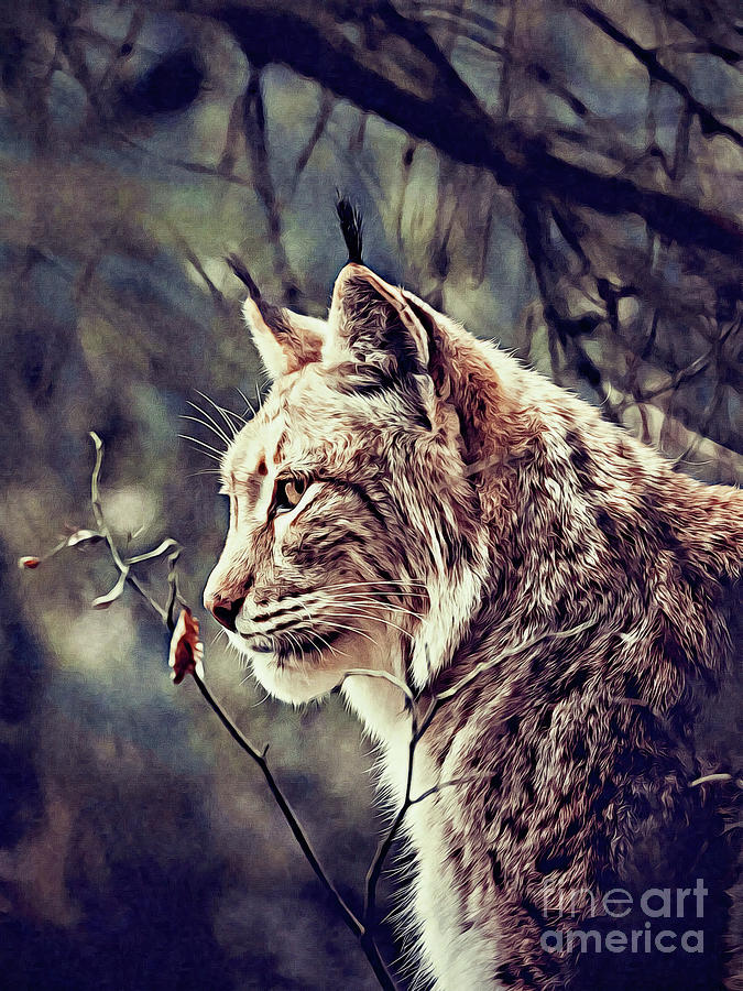 Lynx Digital Art by Denise Dundon