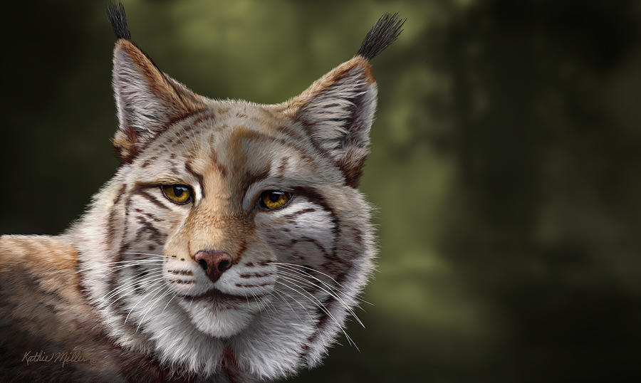 Lynx Digital Art by Kathie Miller