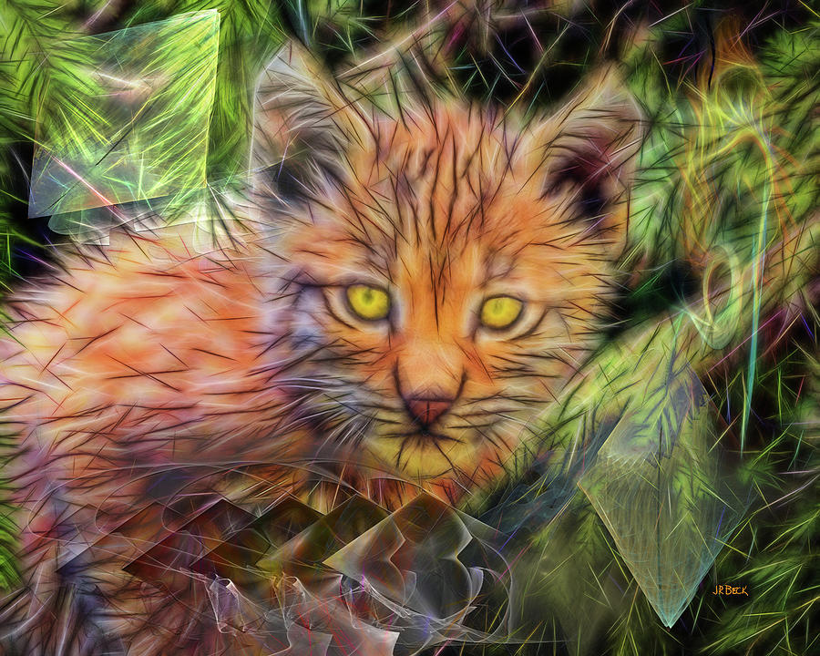 Lynx Kitten Digital Art by Studio B Prints