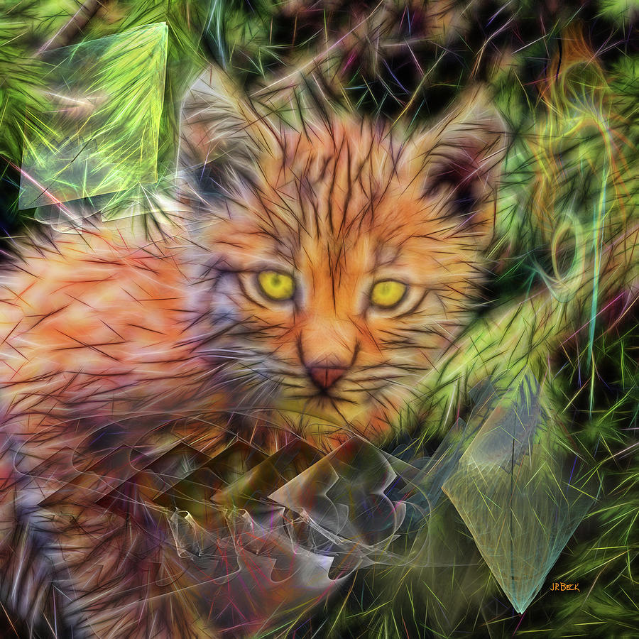 Lynx Kitten - Square Version Digital Art by Studio B Prints