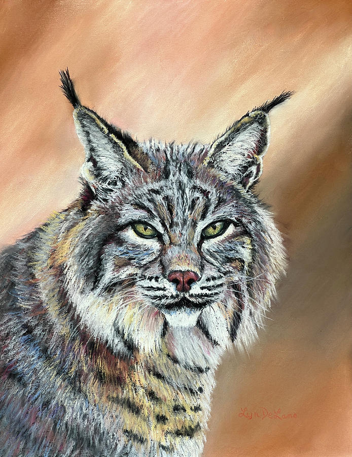 Lynx Looking at You Pastel by Lyn DeLano
