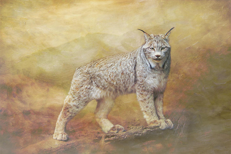 Lynx Standing Tall - Painterly Mixed Media by Patti Deters