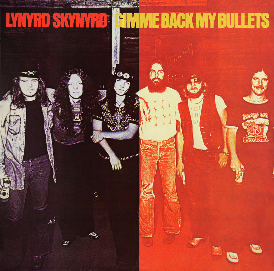 Lynyrd Skynyrd Mixed Media - Lynyrd Skynyrd Music by Robert VanDerWal