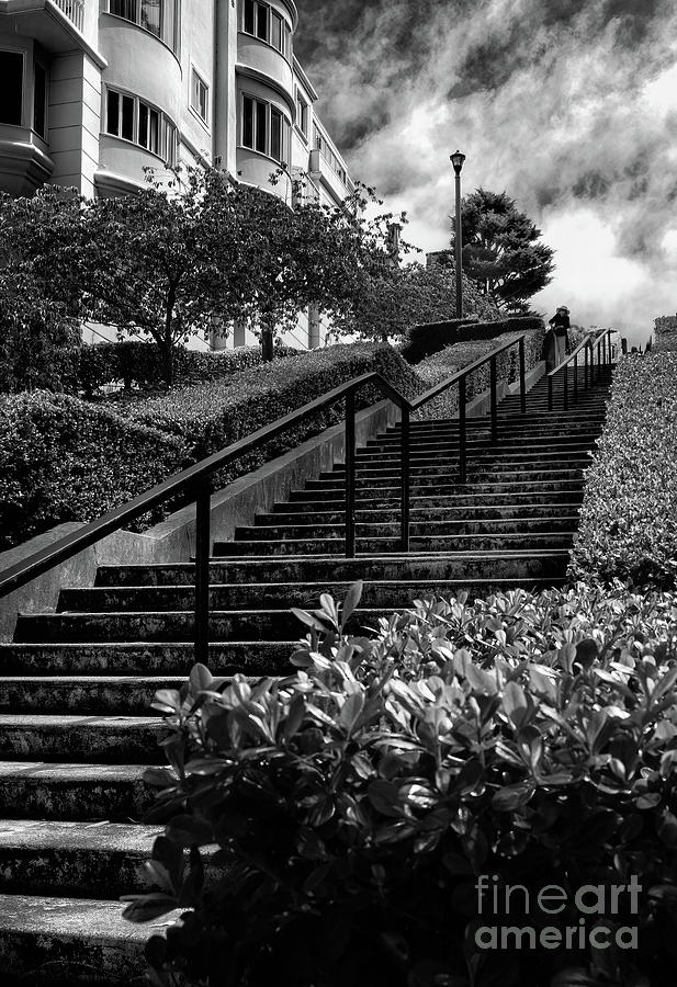 Lyon Street Steps Photograph by Doug Sturgess