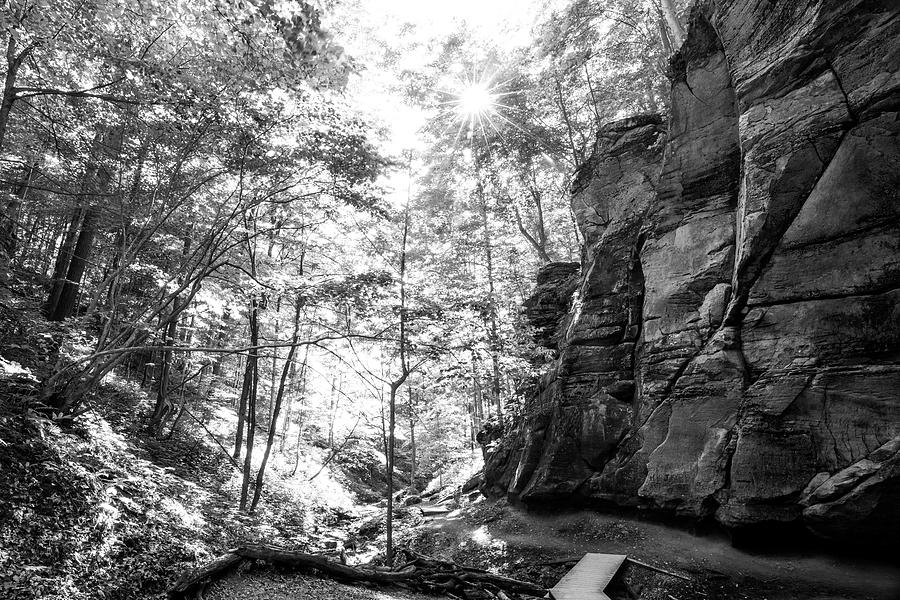 Lyons Falls Hike Mohican State Park Photograph by Dan Sproul