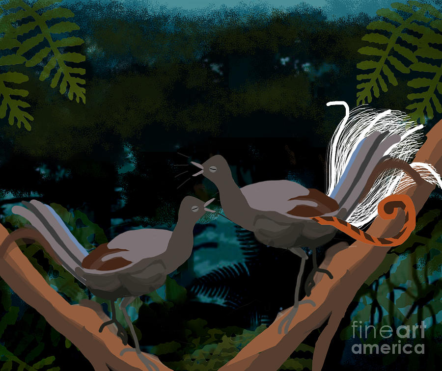 Lyrebird Pair no text Digital Art by Donna Huntriss