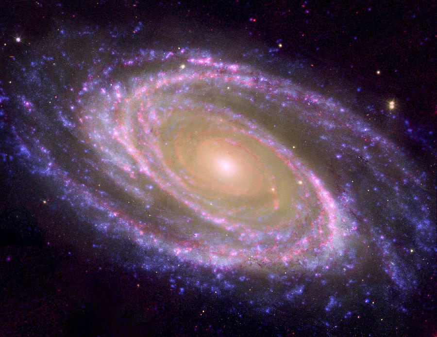 M81 Galaxy Photograph by Mark Andrew Thomas