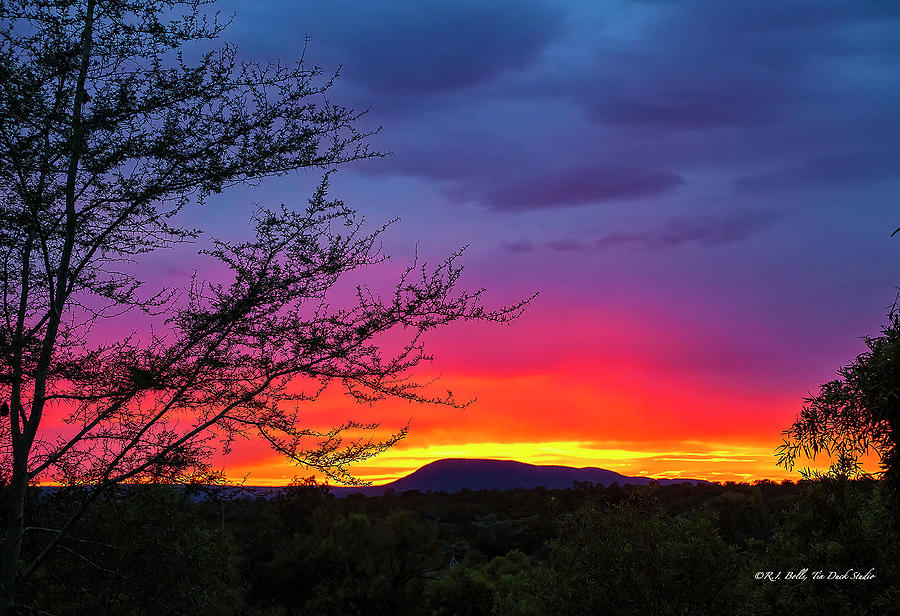 Mabula Sunrise Photograph by Robert Bolla