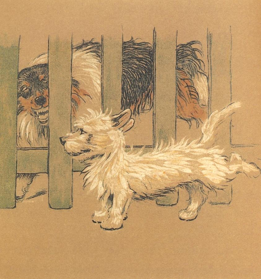 Mac, Big Dog Drawing by Cecil Aldin Mac, Big Dog Drawing by Cecil Aldin
