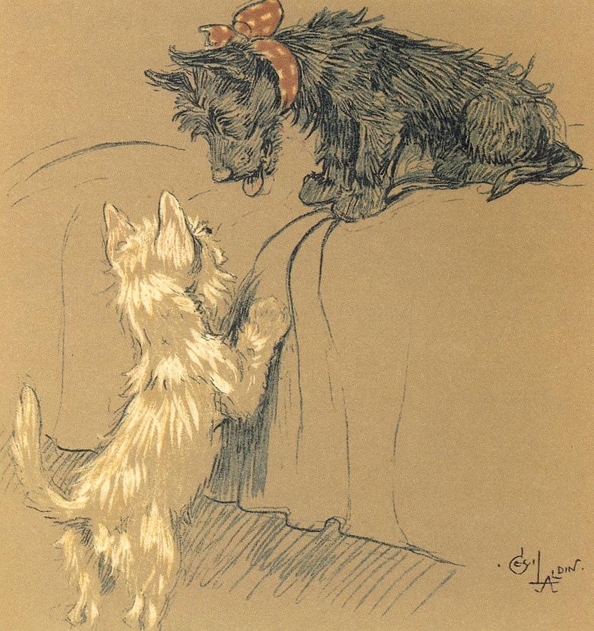 Mac, Can We Be Friends Drawing by Cecil Aldin Mac, Can We Be Friends Drawing by Cecil Aldin
