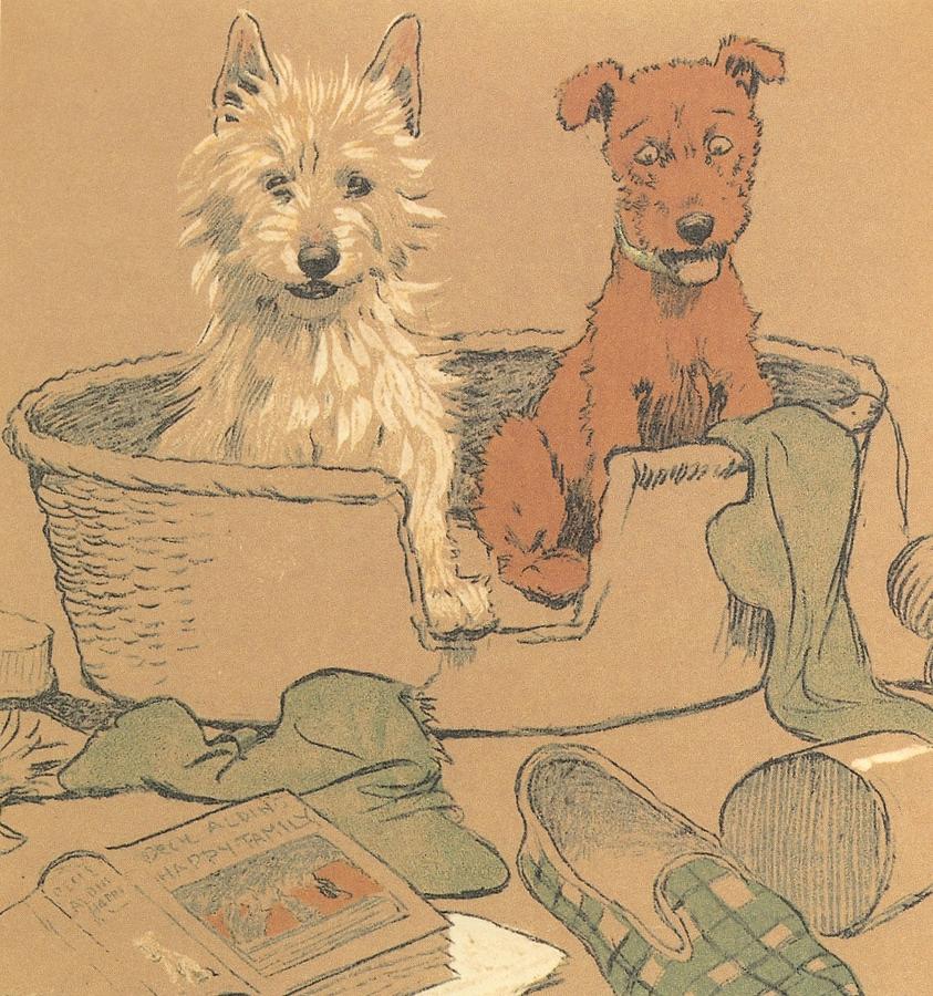 Mac, Dogs in Basket Drawing by Cecil Aldin Mac, Dogs in Basket Drawing by Cecil Aldin