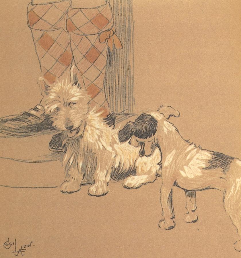 Mac, New Friend Drawing by Cecil Aldin Mac, New Friend Drawing by Cecil Aldin