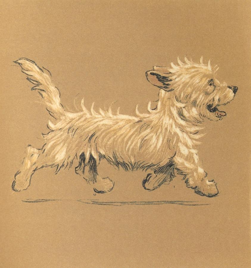 Mac, Trotting Along Drawing by Cecil Aldin Mac, Trotting Along Drawing by Cecil Aldin