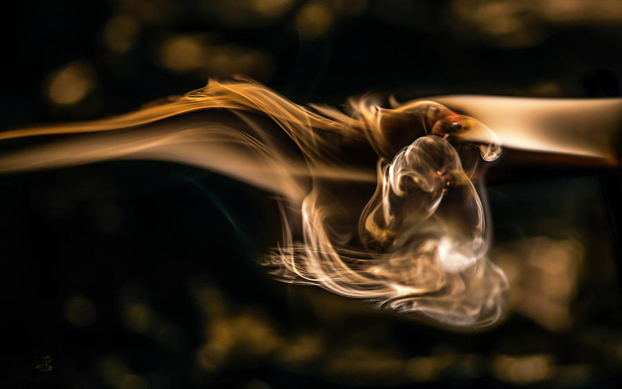 Inspirational Photograph - Womb of creation by Steven Poulton