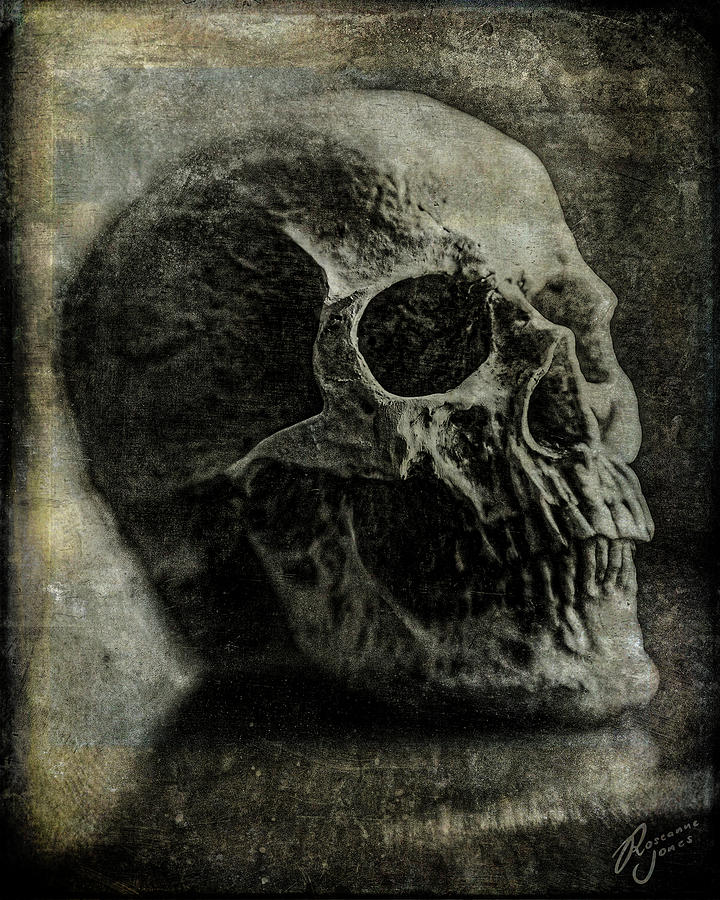 Macabre Skull 1 Photograph by Roseanne Jones