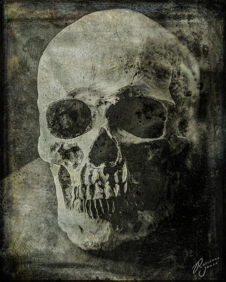 Macabre Skull 2 Photograph by Roseanne Jones
