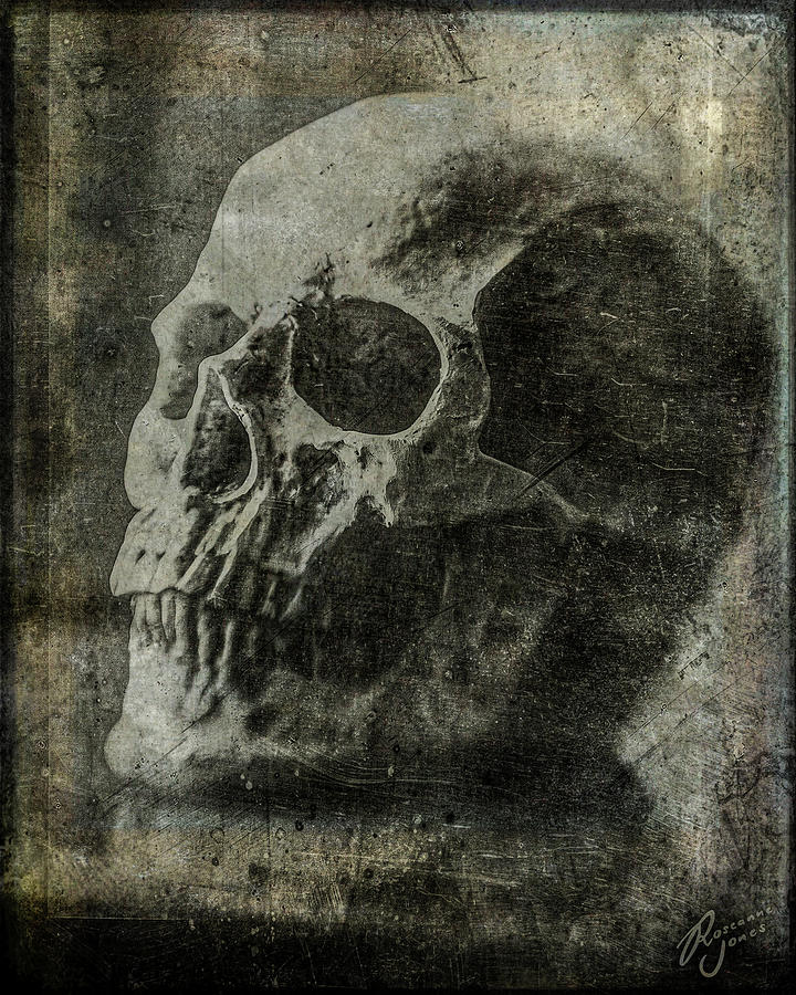 Macabre Skull 3 Photograph by Roseanne Jones
