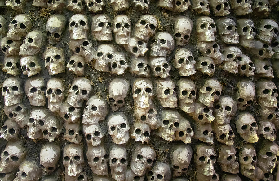 Macabre skull wall Photograph by Karen Foley