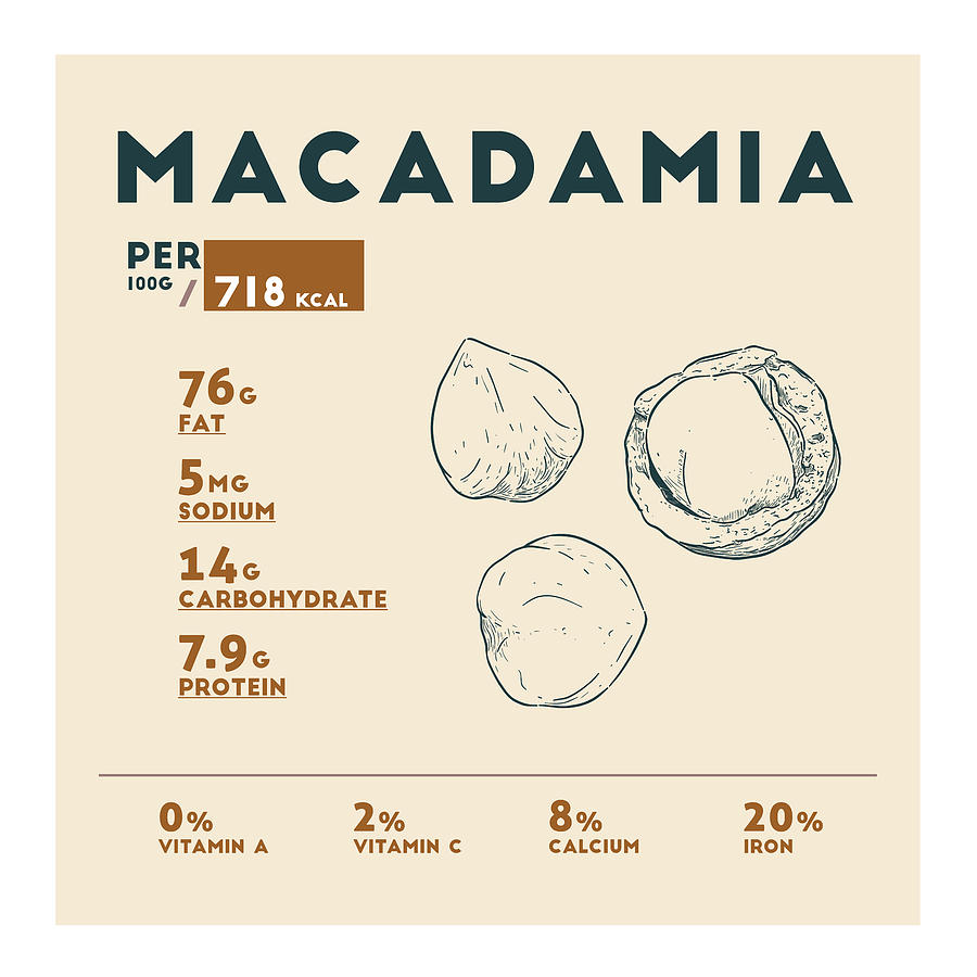 Macadamia Nut Nutrition Facts Drawing by Beautify My Walls