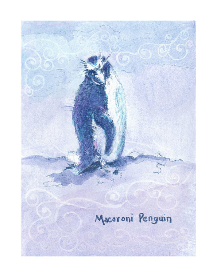 Macaroni Penguin Zooly 2019 Drawing