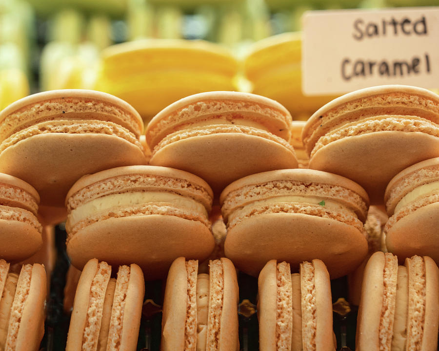 Macarons - Salted Caramel Photograph by Nikolyn McDonald