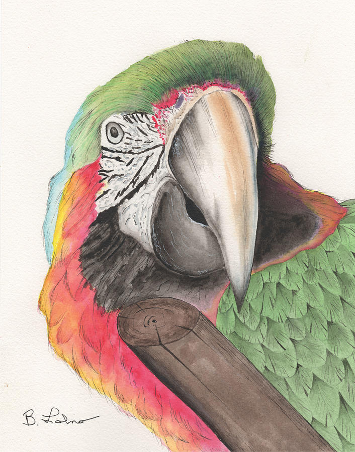 Macaw #2 Painting by Bob Labno